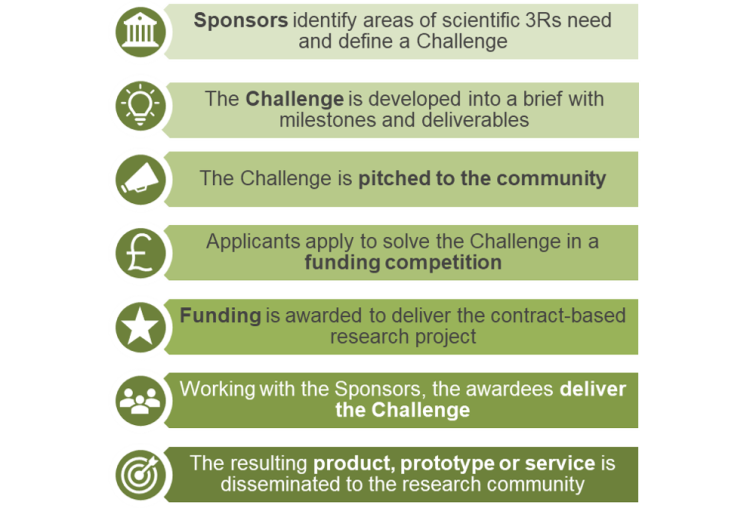 Challenge types and process Innovation Platform